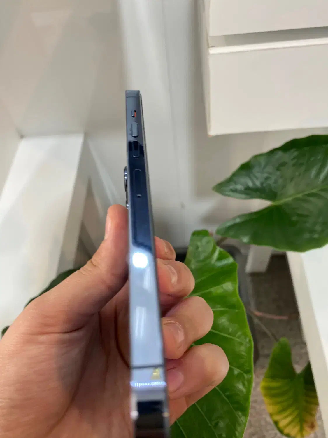 IPHONE 13promax|موبایل|اردبیل, |دیوار
