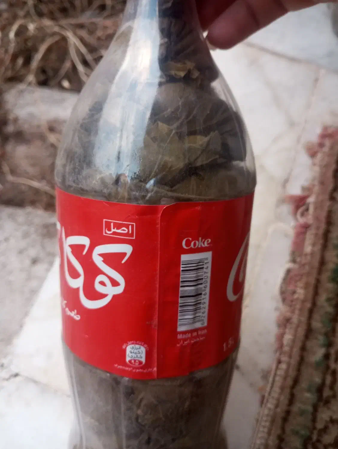 برگ دلمه|خوردنی و آشامیدنی|مراغه, |دیوار