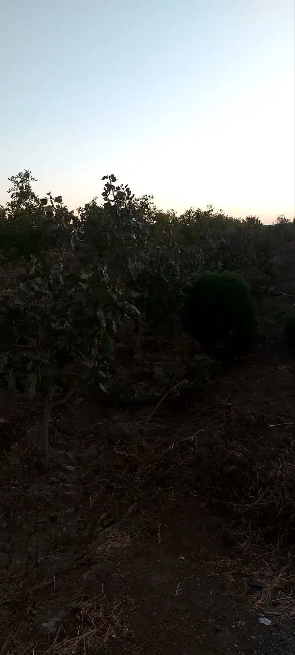 تصویر 4