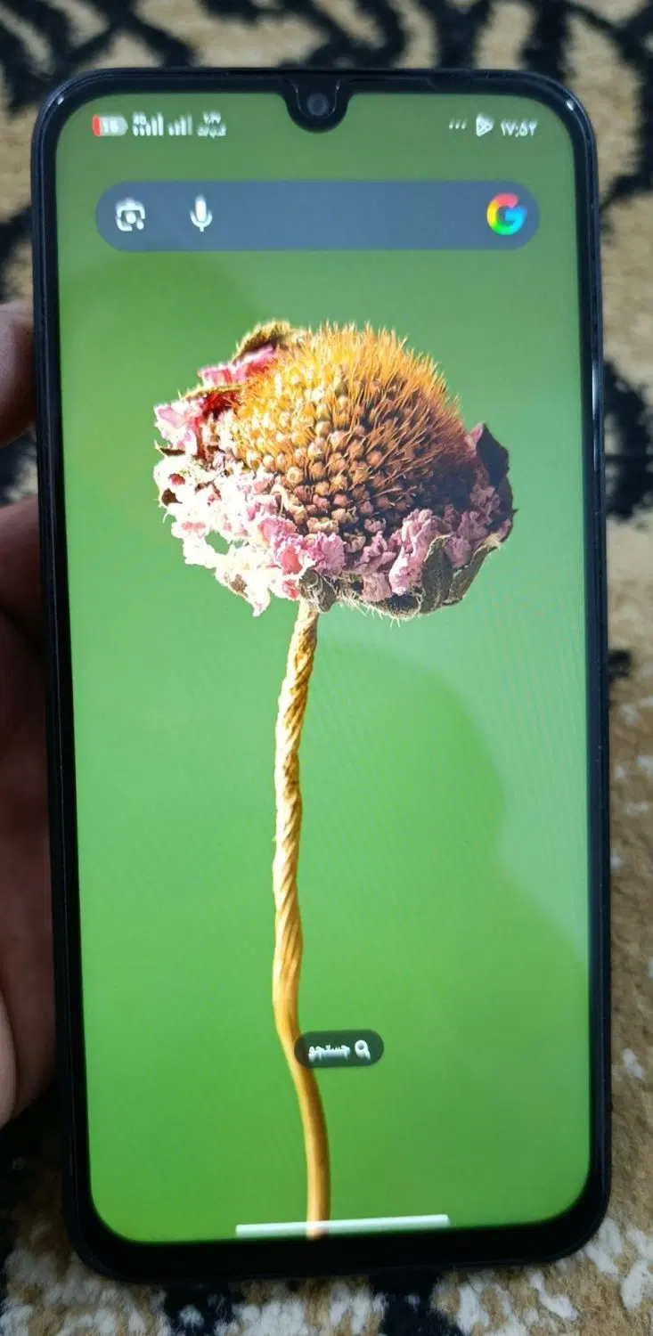 Poco C85 256G R8|موبایل|میناب, |دیوار
