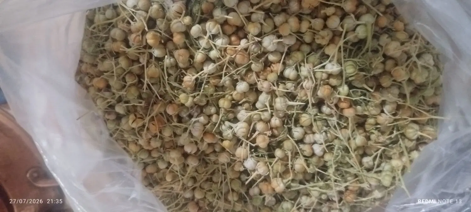 اسپند|خوردنی و آشامیدنی|سبزوار, توحیدشهر|دیوار