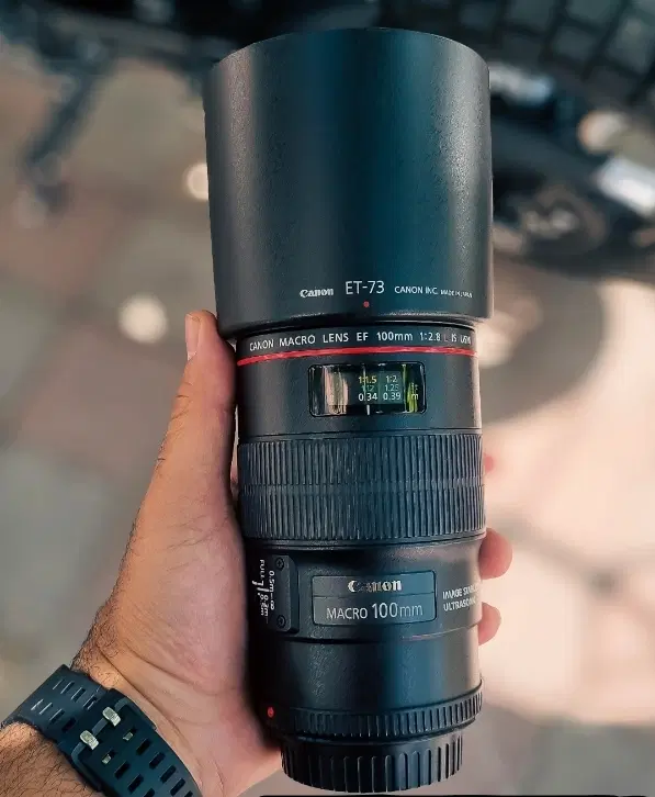 100mm f/2.8L Macro IS USM|دوربین عکاسی و فیلمبرداری|رشت, دیلمان|دیوار