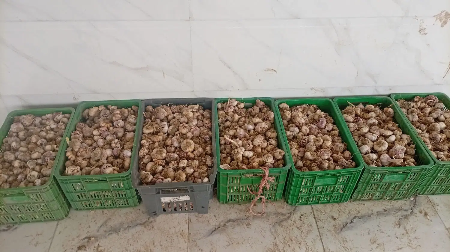سیر|خوردنی و آشامیدنی|پارس‌آباد, |دیوار