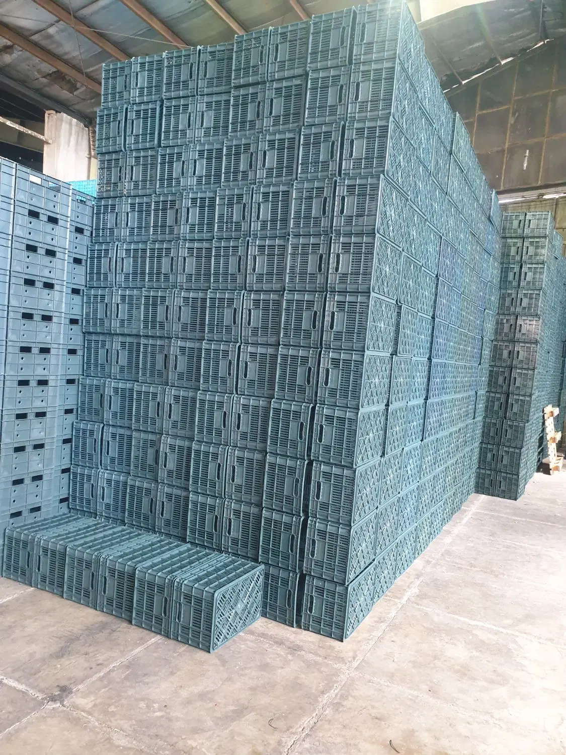 فروش|ظروف نگهدارنده، پلاستیکی، یک‌بارمصرف|شیراز, گل سرخ|دیوار