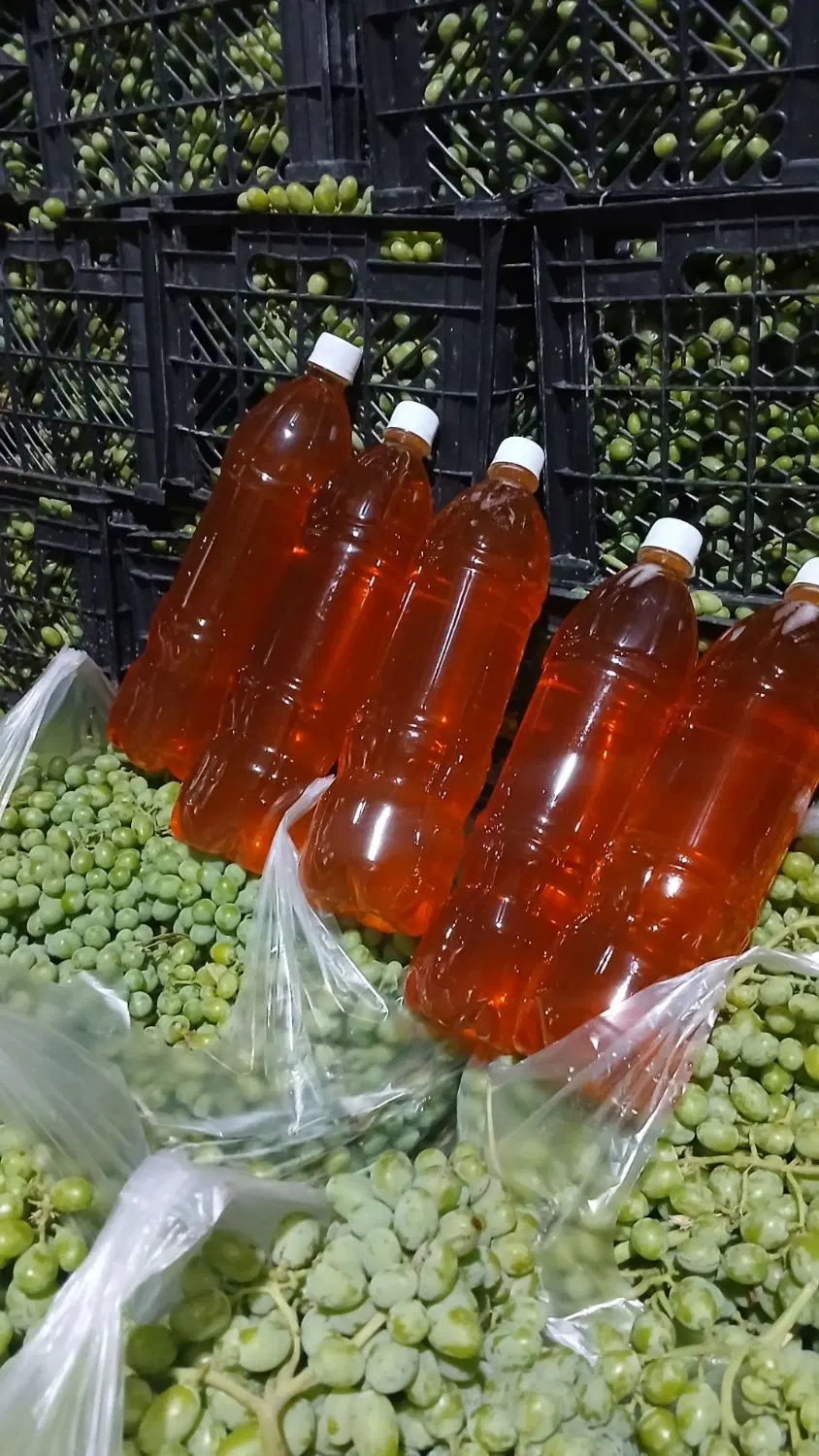 آبغوره|خوردنی و آشامیدنی|خرمآباد, |دیوار