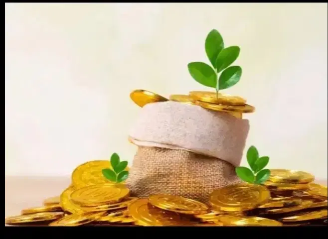 ضامنن|خدمات مالی، حسابداری، بیمه|پارس‌آباد, |دیوار