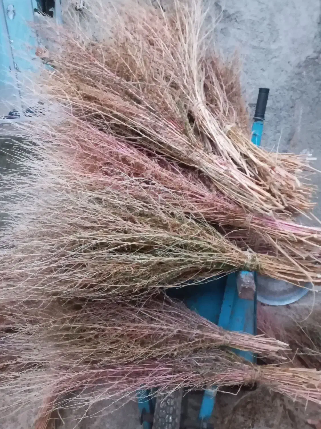 جارو (گزگ)|لوازم نظافت|کامیاران, |دیوار