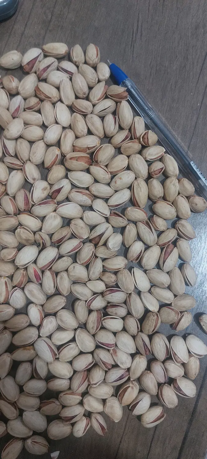 پسته|خوردنی و آشامیدنی|کشکوئیه, |دیوار