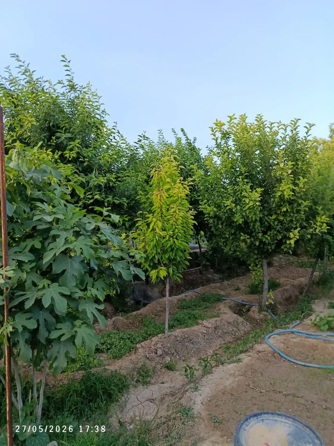 باغ|فروش زمین و ملک کلنگی|مشهد, كنويست|دیوار