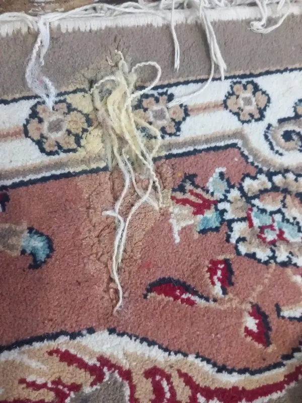 مجله|مجلات|مشهد, نظام دوست|دیوار