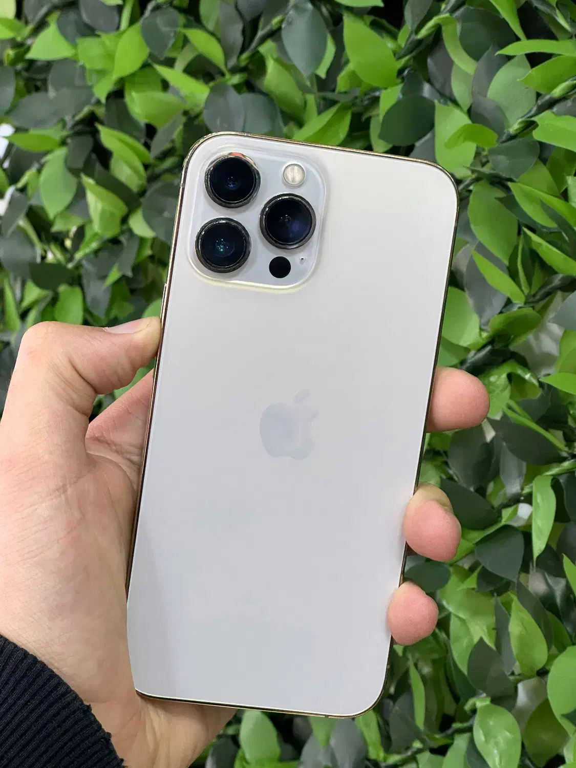 iphone 13 pro max 256g|موبایل|ارومیه, |دیوار