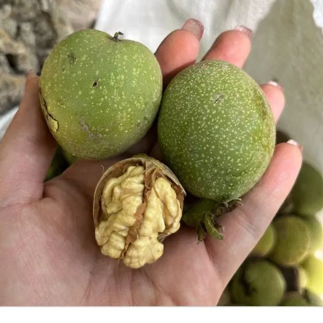 گردو|خوردنی و آشامیدنی|دوزین, |دیوار