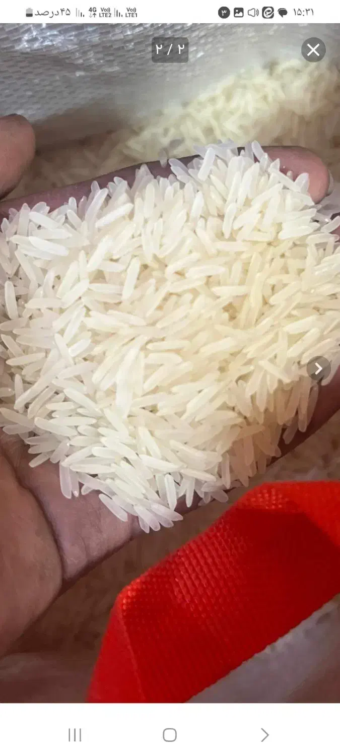 برنج هندی|لوازم جانبی حیوانات|مشهد, ابوذر|دیوار