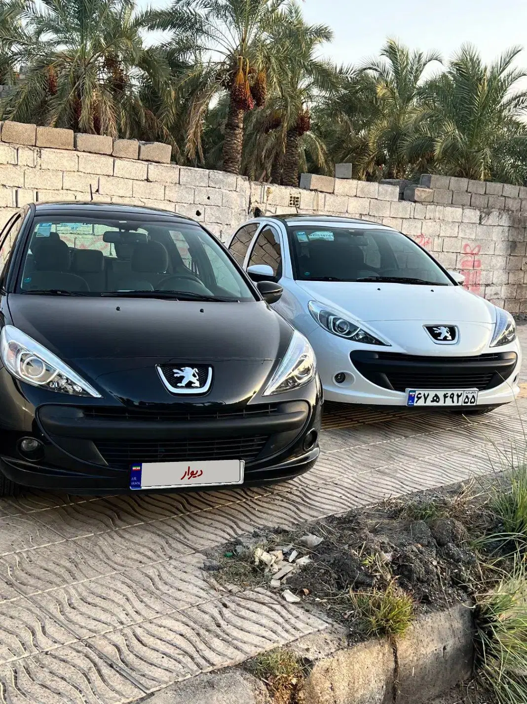 ۲۰۷|خودرو سواری و وانت|بم, |دیوار