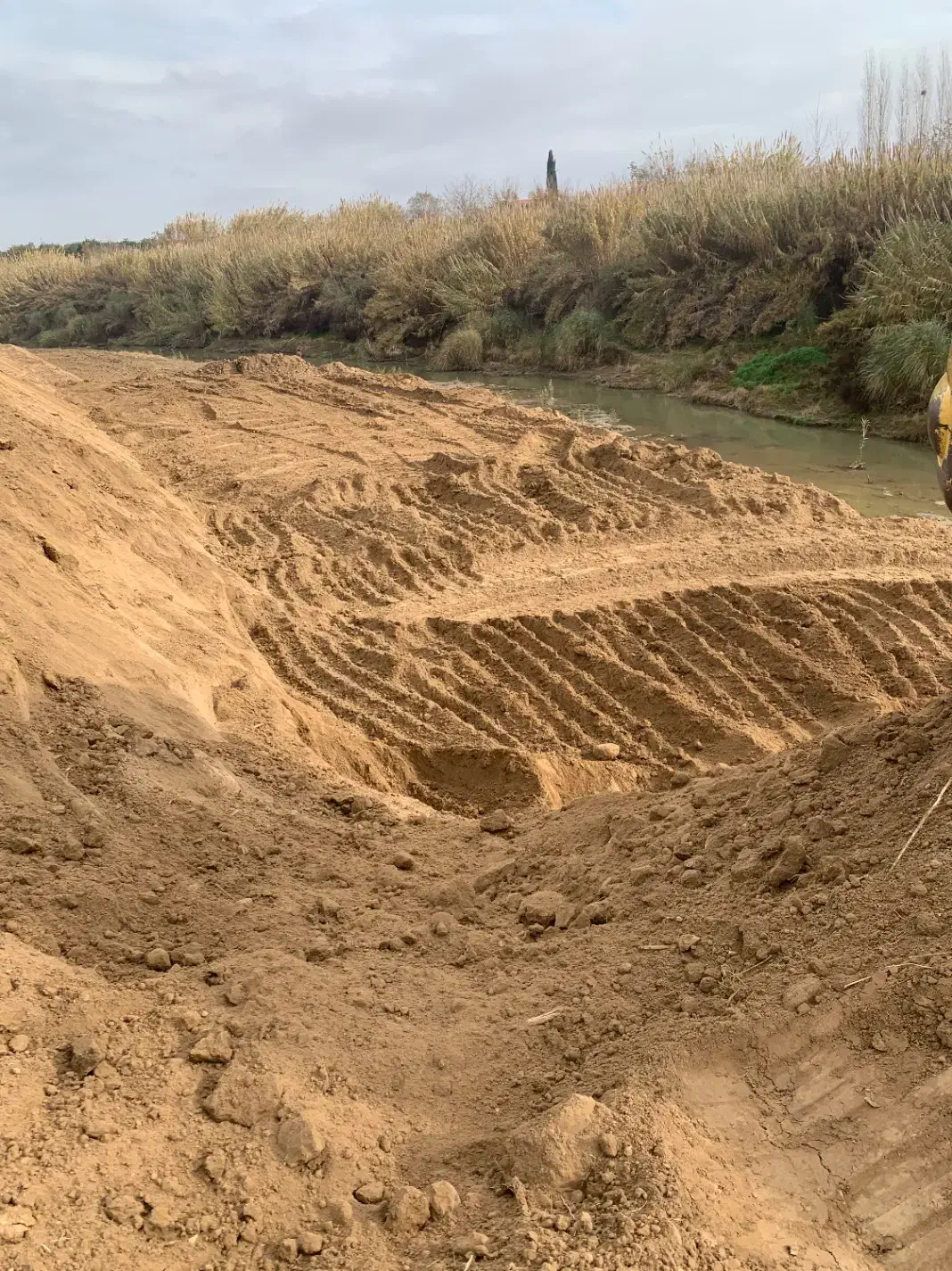 له رودخونه ای وخاک مخصوص باغ ونهال وگلخانه|خدمات باغبانی و درختکاری|ساری, |دیوار