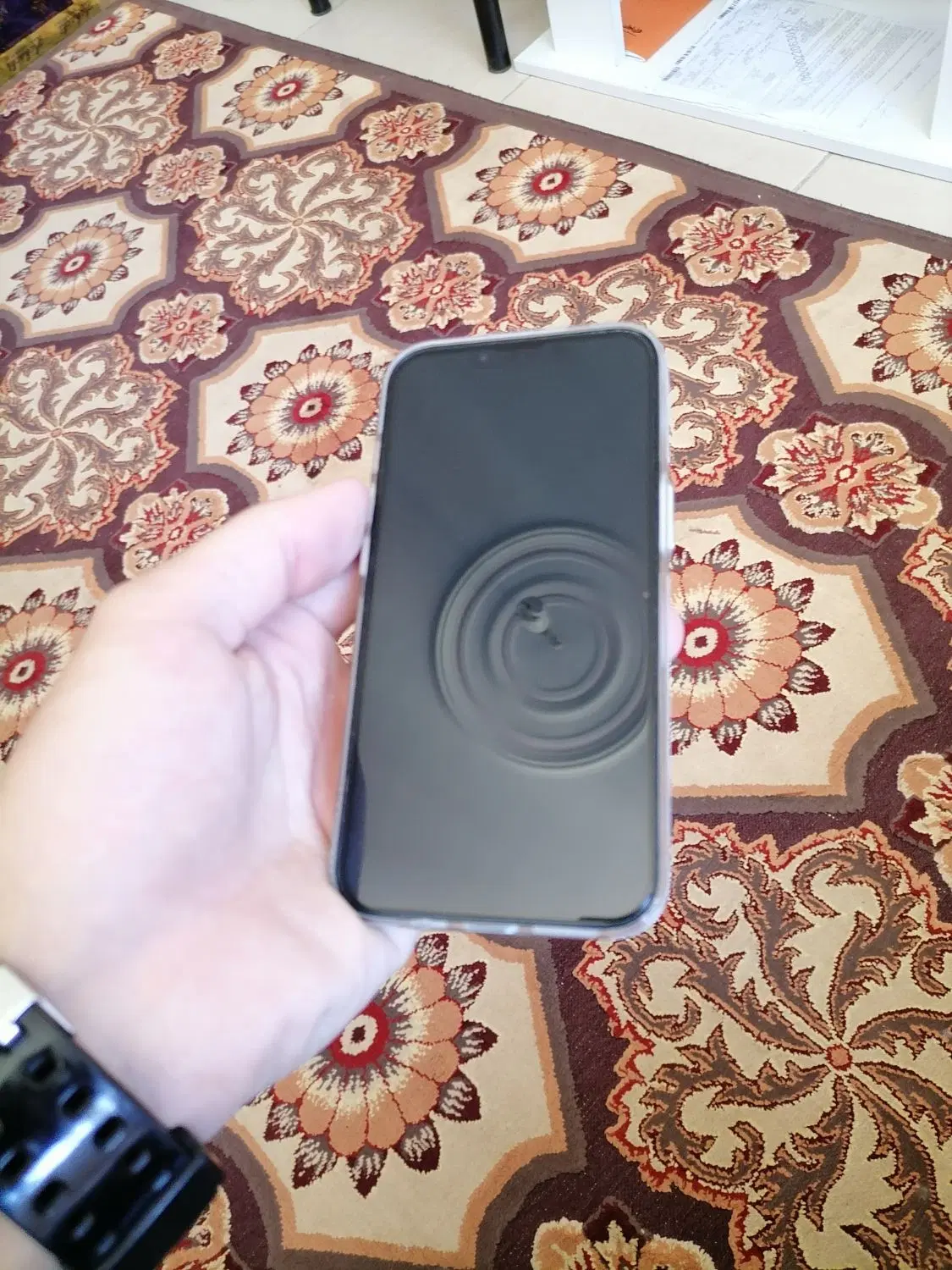 iphone 13|موبایل|قزوین, |دیوار
