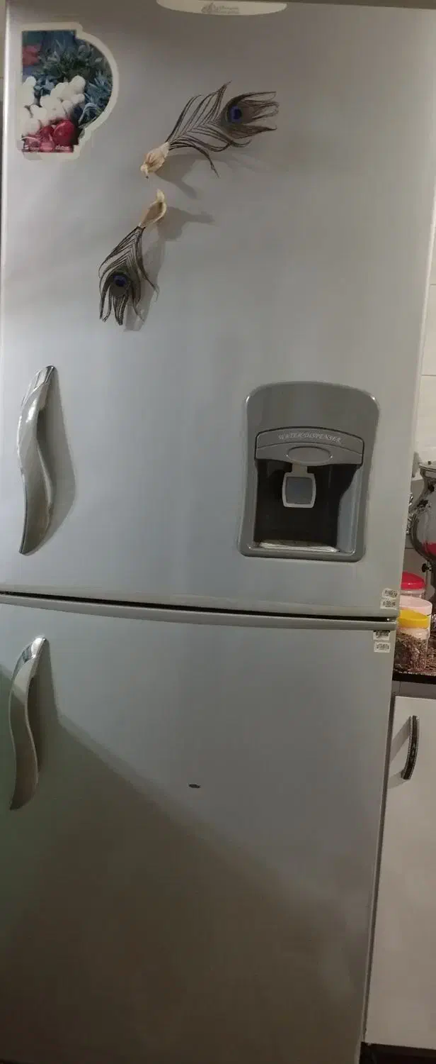 یخچال|یخچال و فریزر|مشگین شهر, |دیوار