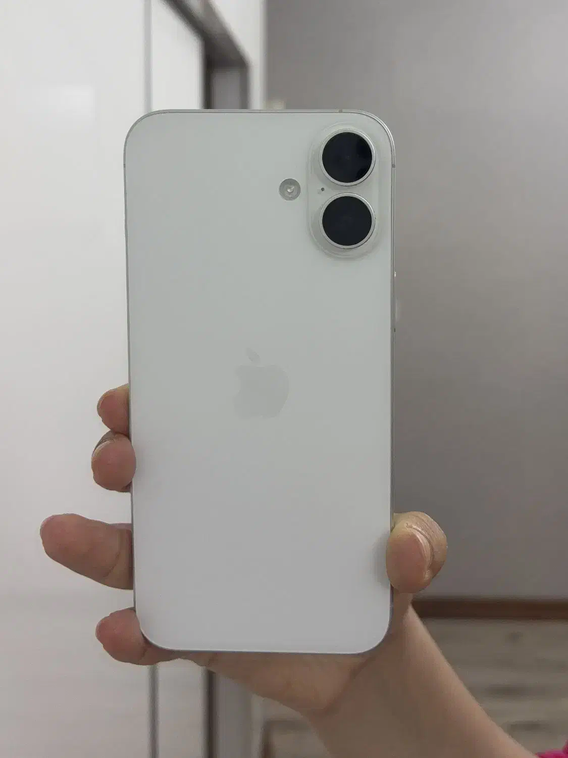 آیفون 16plus|موبایل|تهران, بریانک|دیوار