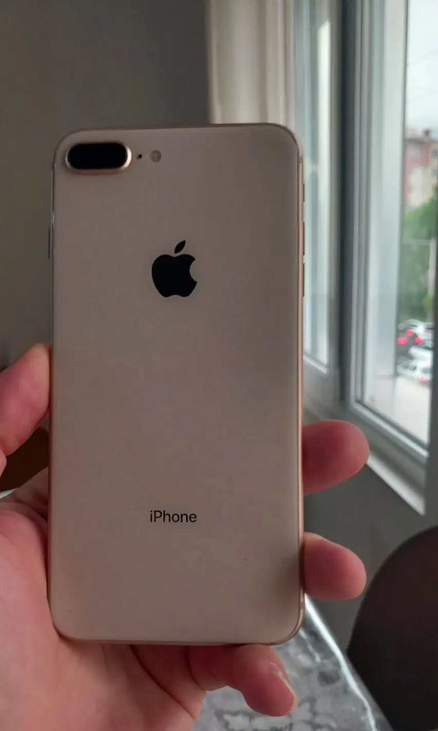 8plus 256G|موبایل|رامسر, |دیوار