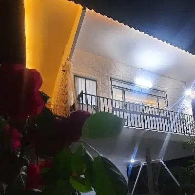تصویر اصلی