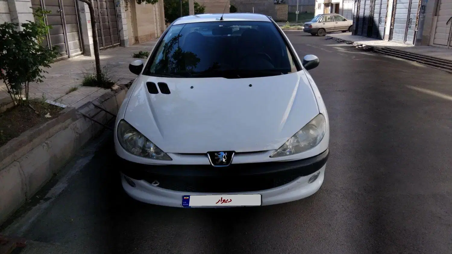 پژو 206 sd v8|خودرو سواری و وانت|زنجان, |دیوار