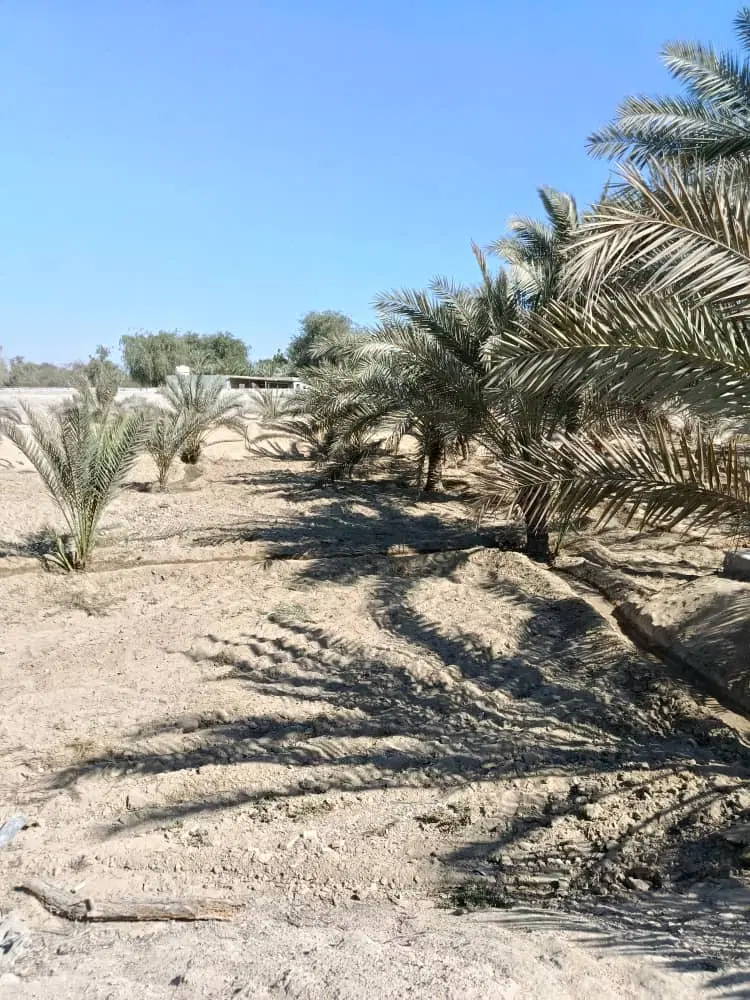 تصویر 3