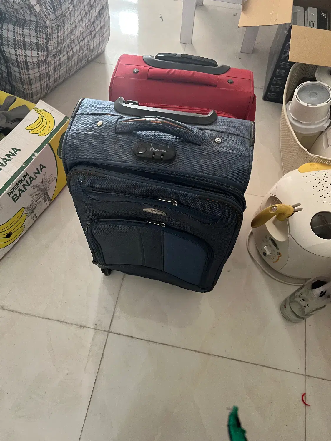 چمدان|کیف، کفش، کمربند|شیراز, چوگیاه‎|دیوار