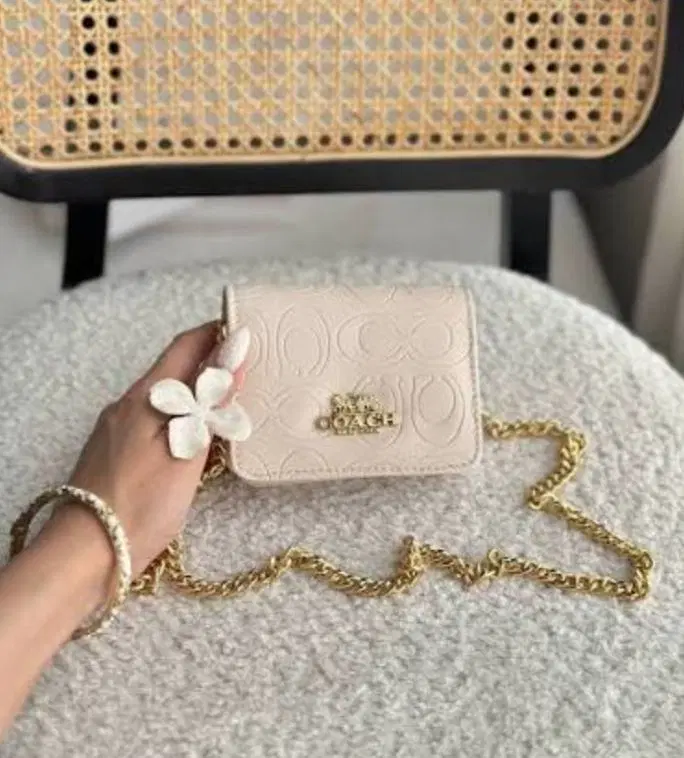 mini bag|کیف، کفش، کمربند|کاشان, بهشتی|دیوار