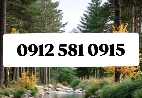 09125810915|سیم‌کارت|مشهد, کلاهدوز|دیوار