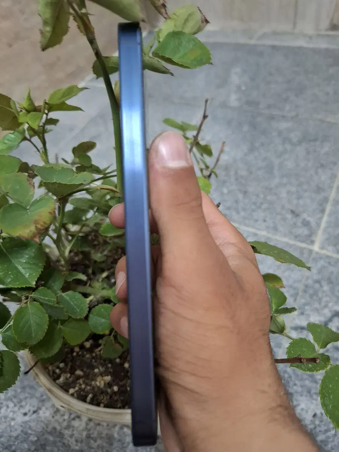a55  5g|موبایل|مشهد, کوی دروی|دیوار