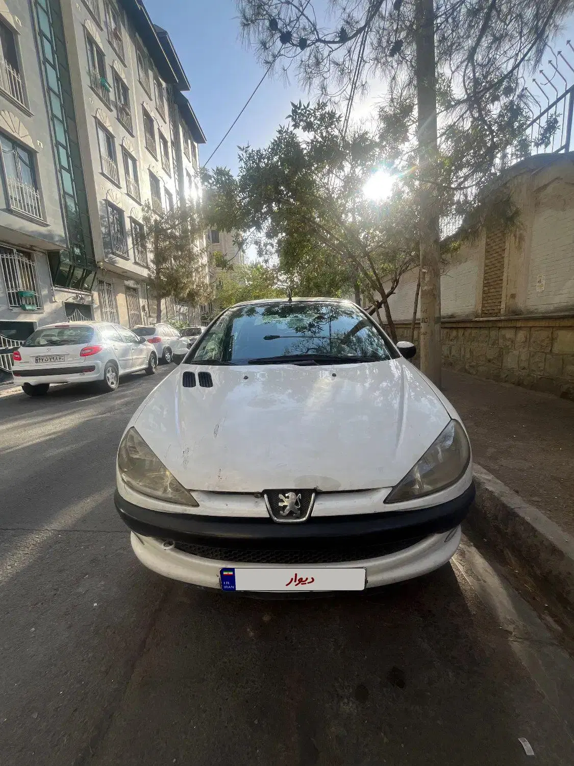 206SD V8|خودرو سواری و وانت|تهران, سازمان آب|دیوار