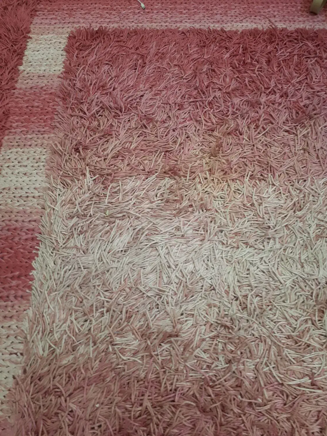 گلیم فرش|گلیم، جاجیم، گبه|قم, شهرک قدس|دیوار