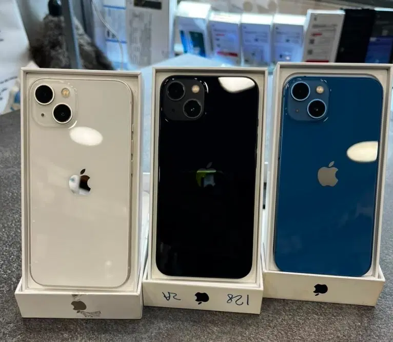 iPhone 13 Normal|موبایل|تهران, جردن|دیوار