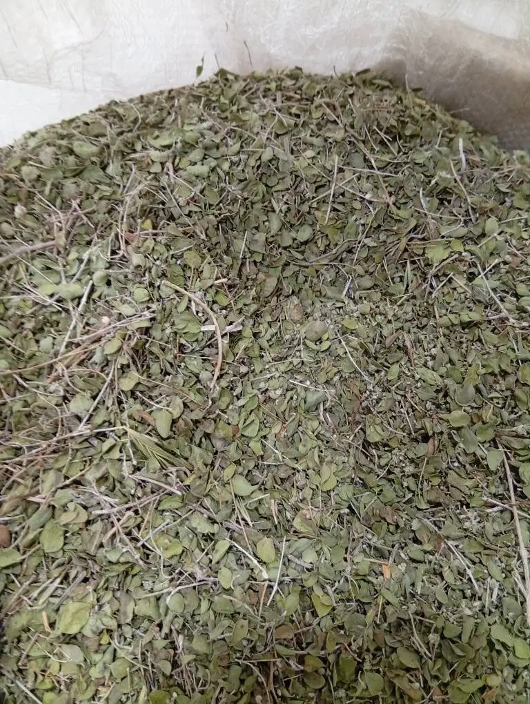 آویشن|خوردنی و آشامیدنی|شیراز, بعثت|دیوار