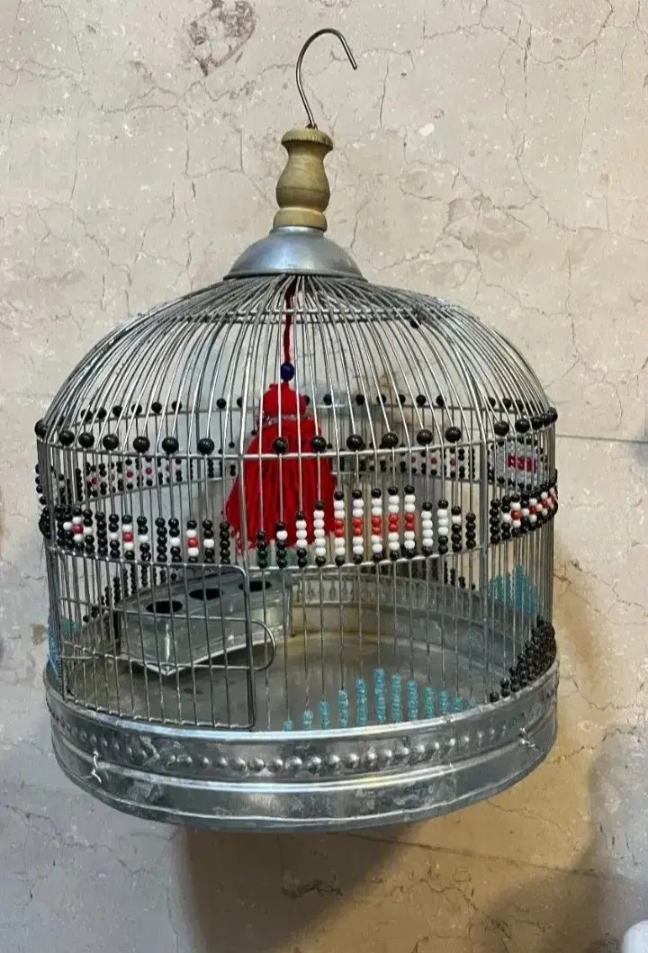 پرنده|پرنده|ساوه, |دیوار