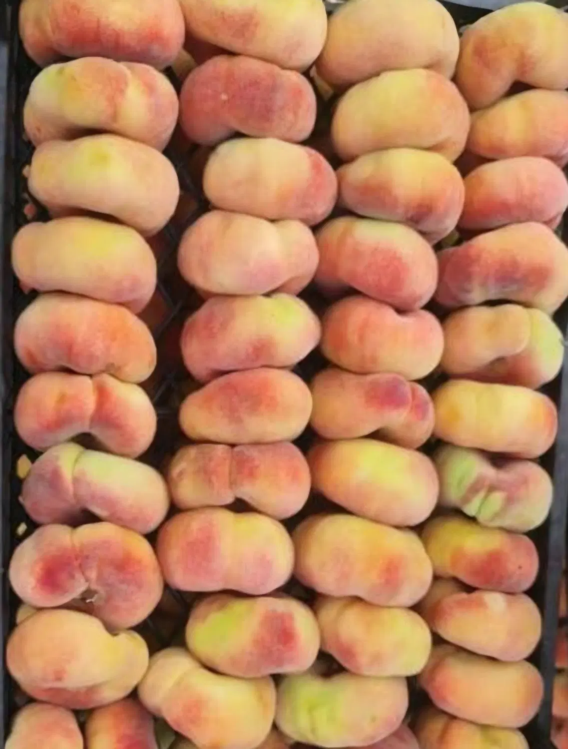 هلو|خوردنی و آشامیدنی|ارومیه, |دیوار