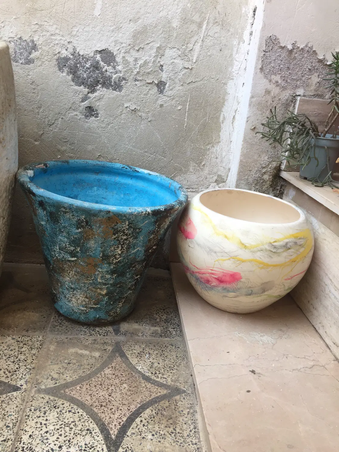 گلدان|گل و گیاه طبیعی|رشت, اسماعیل آباد|دیوار