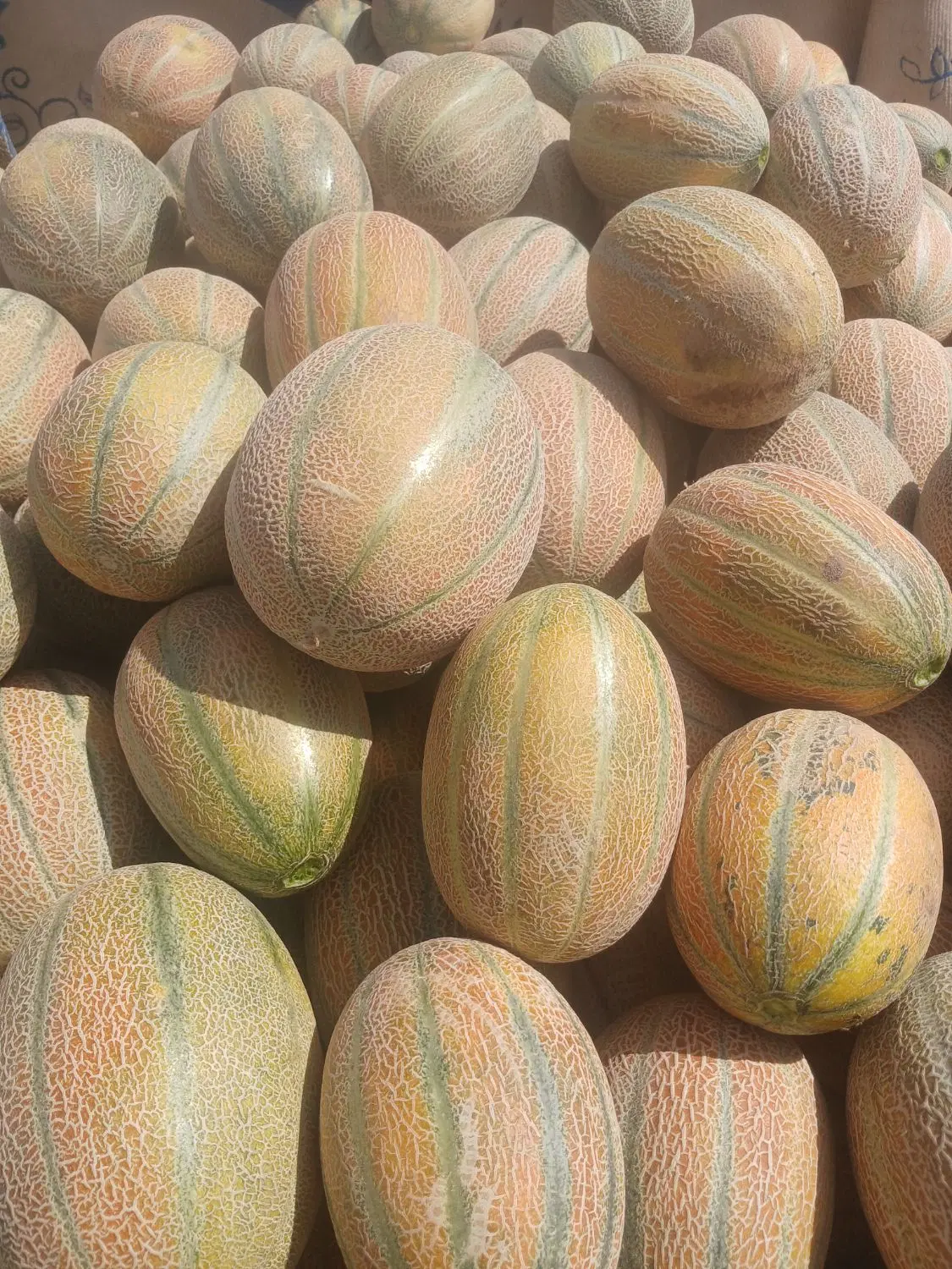 جانا|خوردنی و آشامیدنی|حاجی آباد, |دیوار