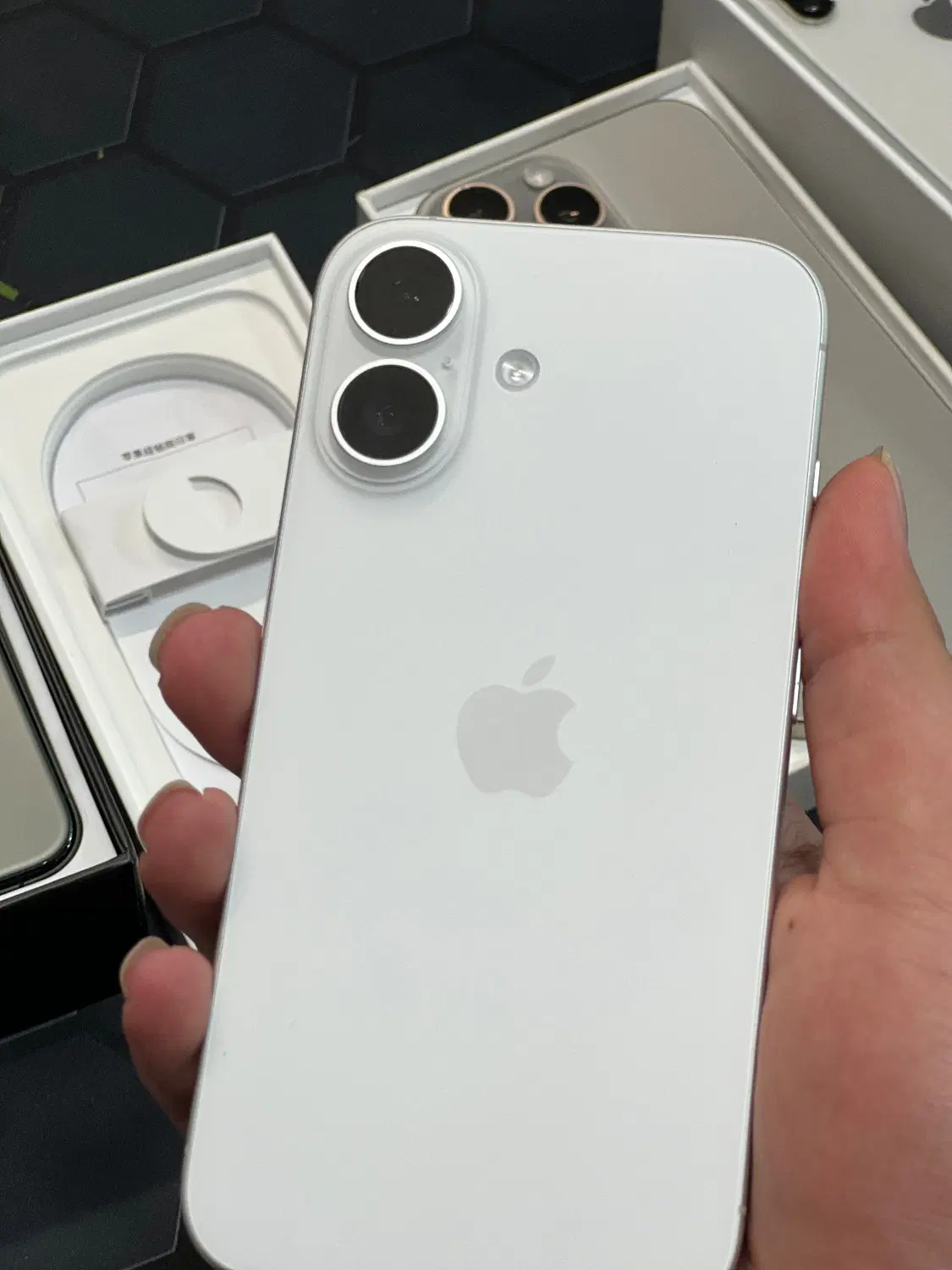 iphone 16|موبایل|رشت, باهنر|دیوار