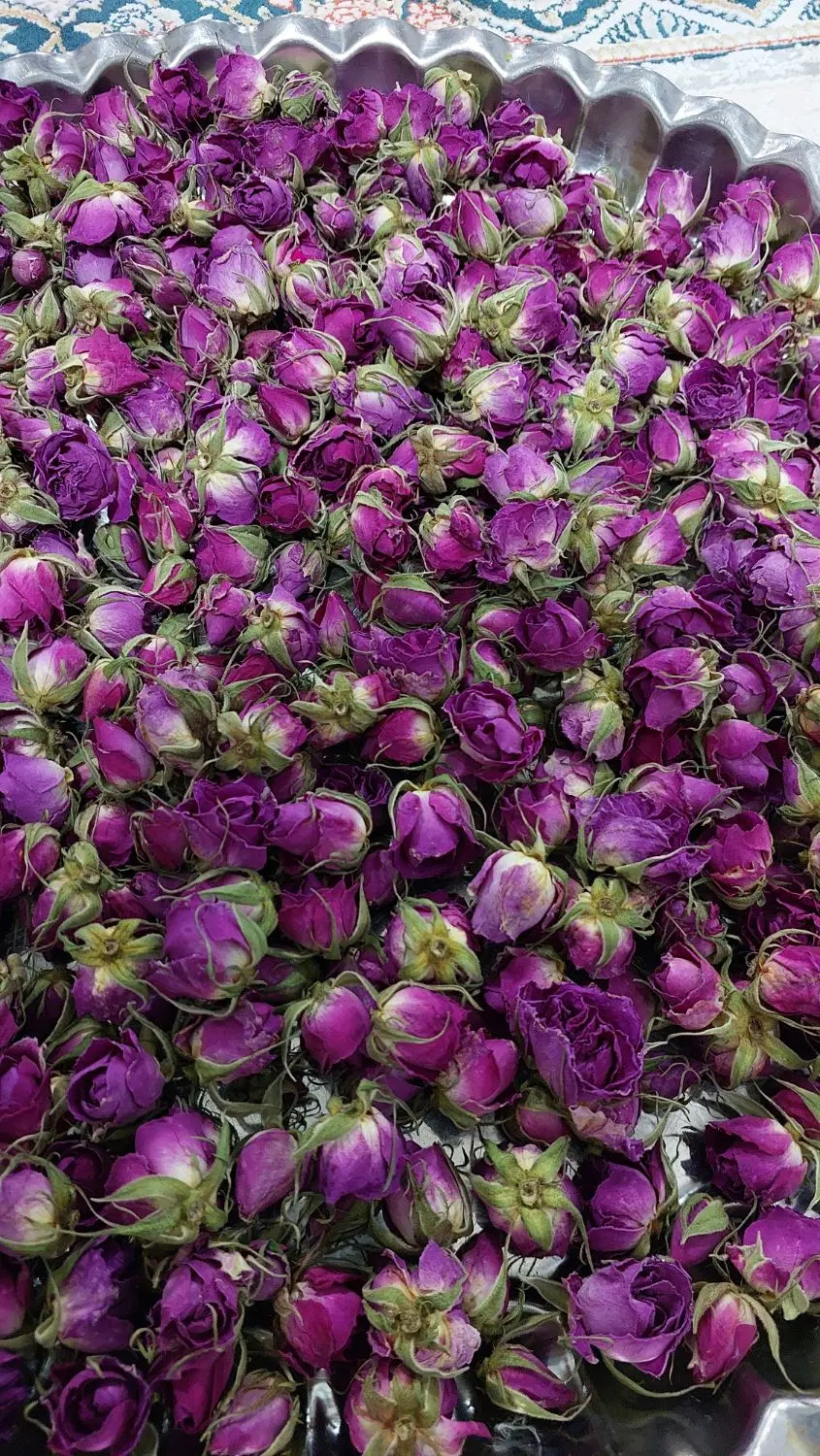 گل محمدی|گل و گیاه طبیعی|کوهدشت, |دیوار