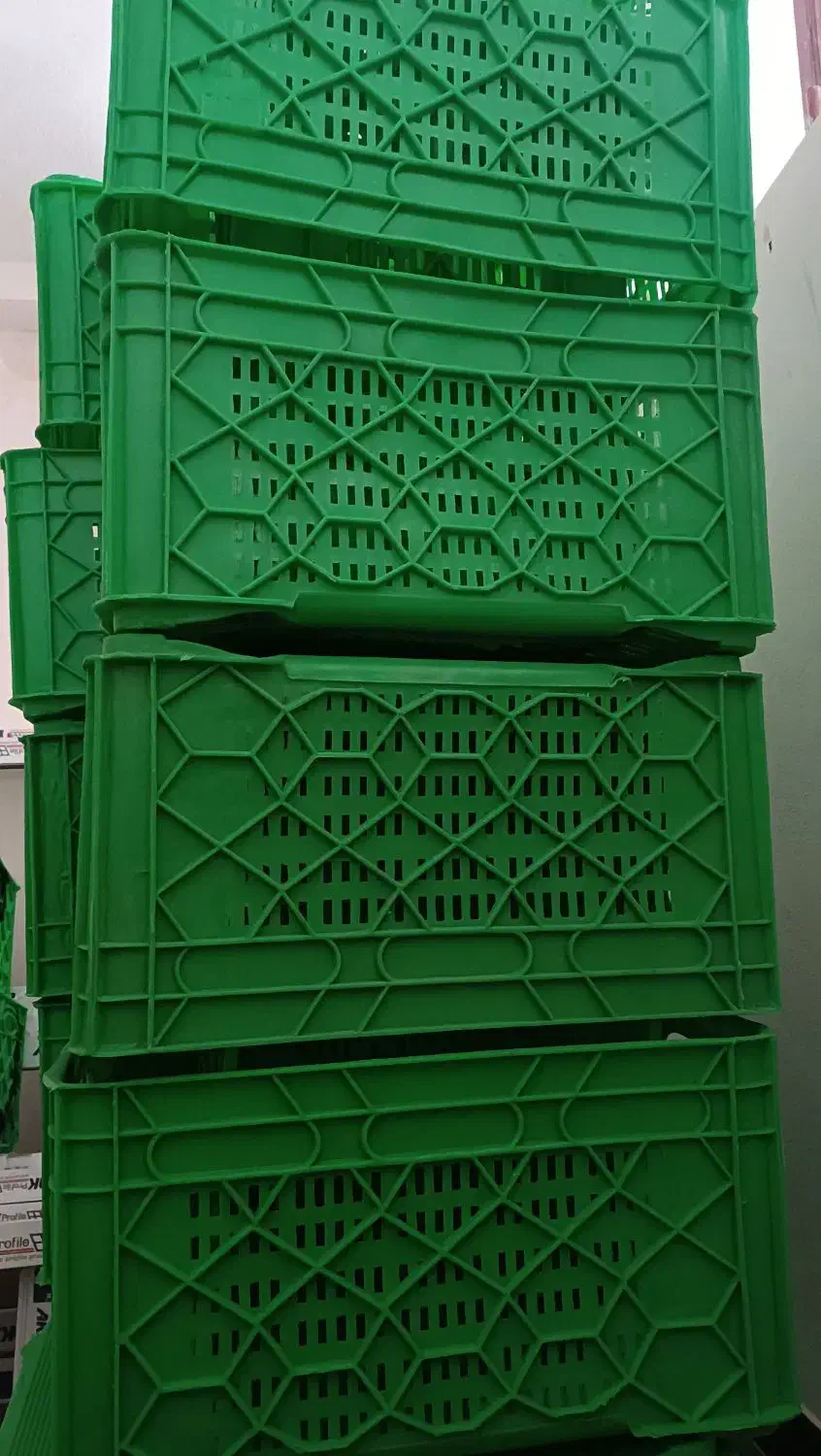 سبد مرغی|عمدهفروشی|بندر ترکمن, |دیوار