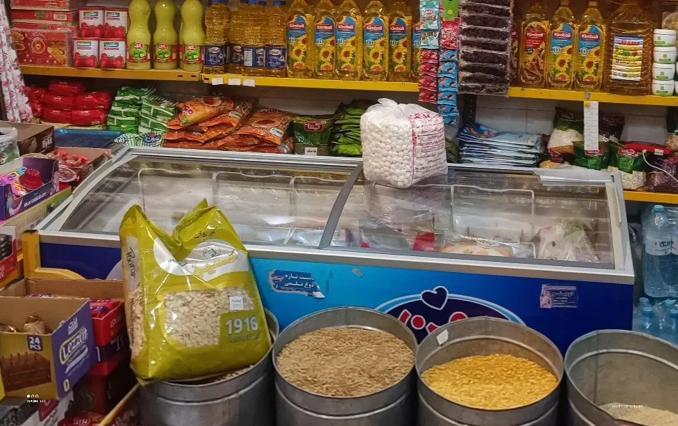 فریزر 600|فروشگاه و مغازه|تربت جام, مطهری|دیوار