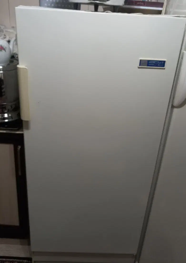 فریزر|یخچال و فریزر|اردبیل, |دیوار