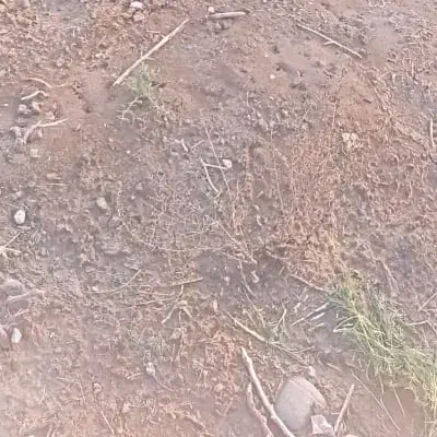 ۳۸۰متر زمین|فروش زمین و ملک کلنگی|رودان, |دیوار