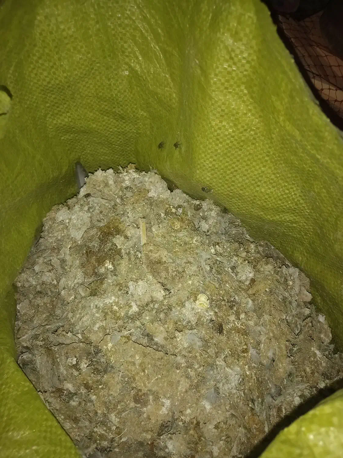 بارکفتر|لوازم جانبی حیوانات|نیشابور, سرآب کوشک|دیوار