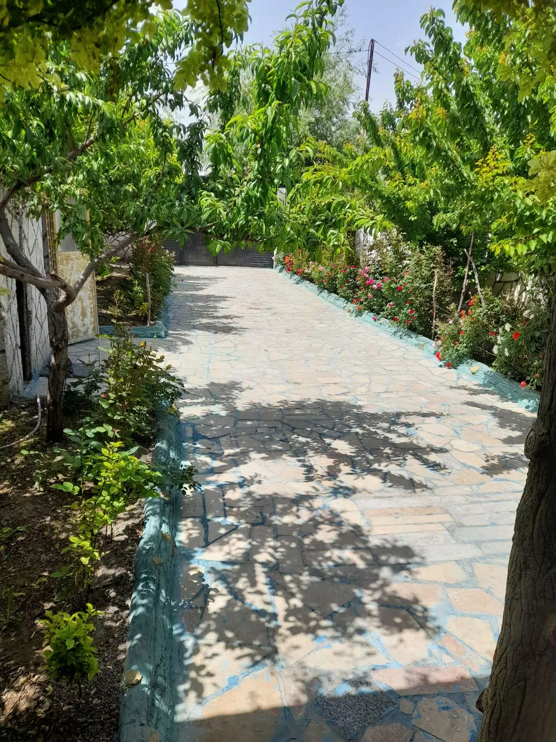 تصویر 5