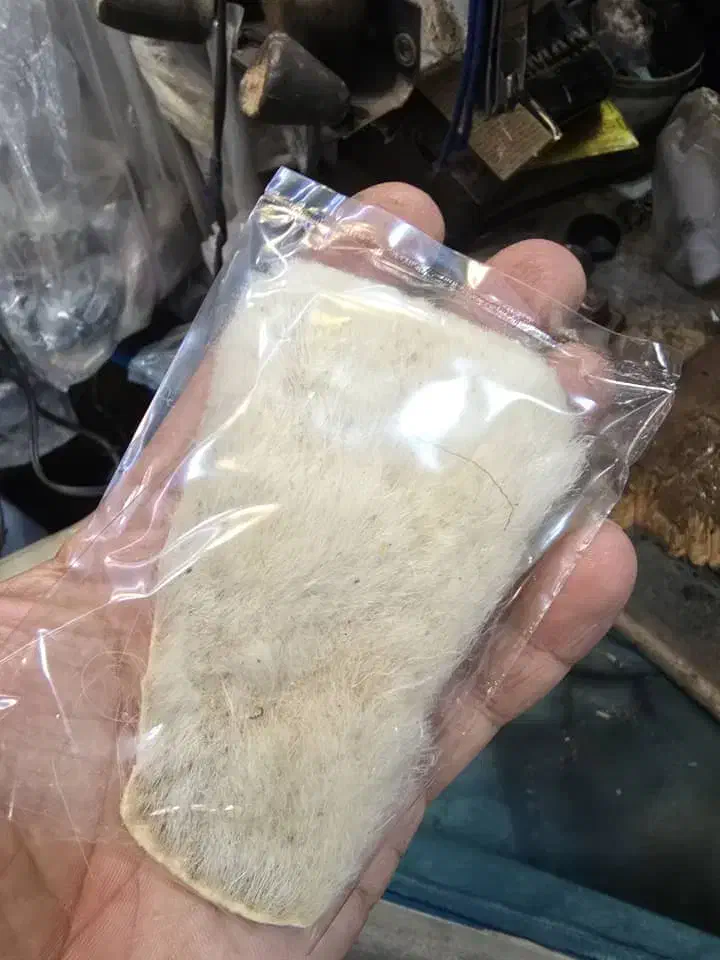 پادری|پادری|زابل, |دیوار