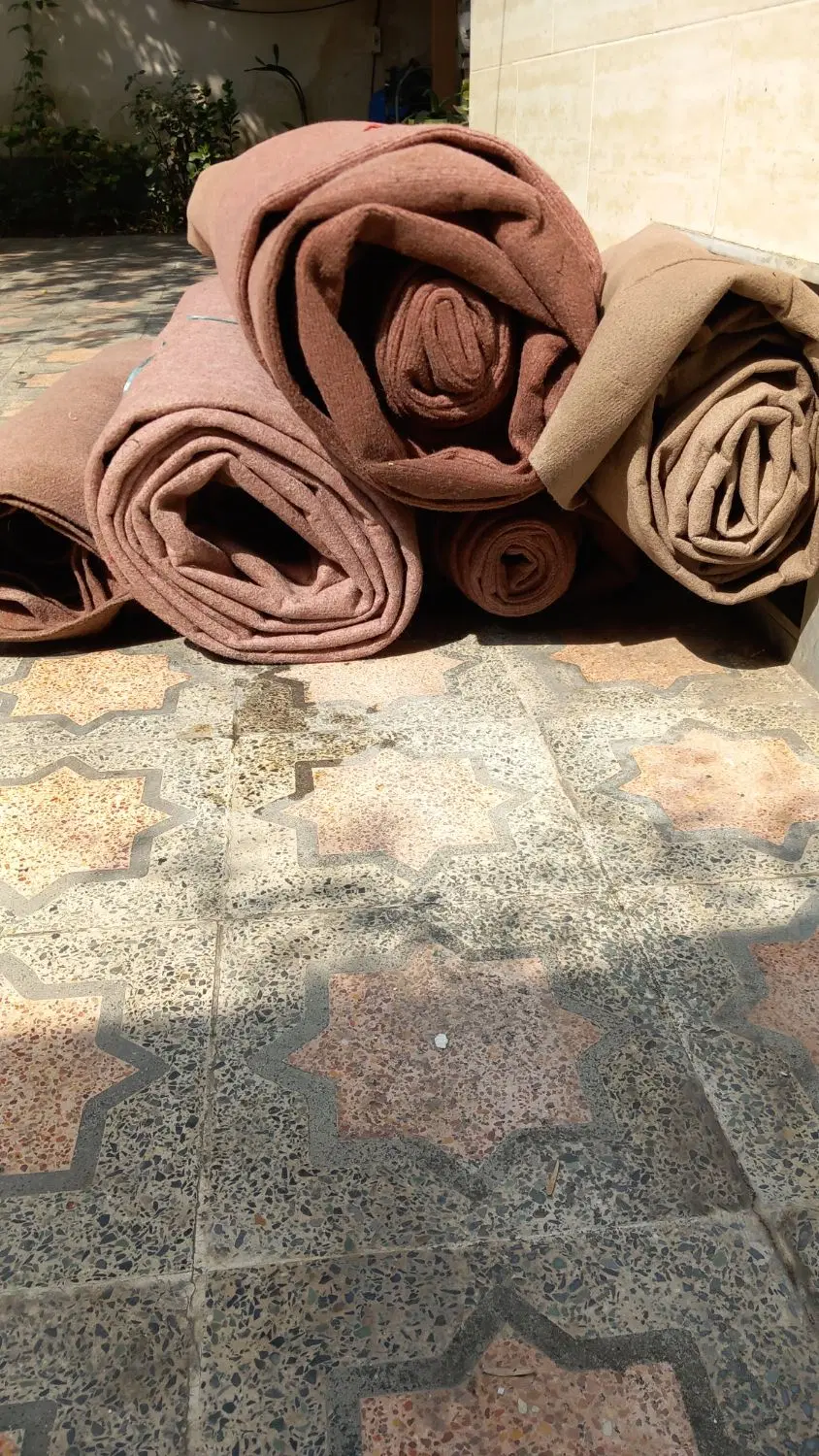 موکت|موکت|گرگان, |دیوار