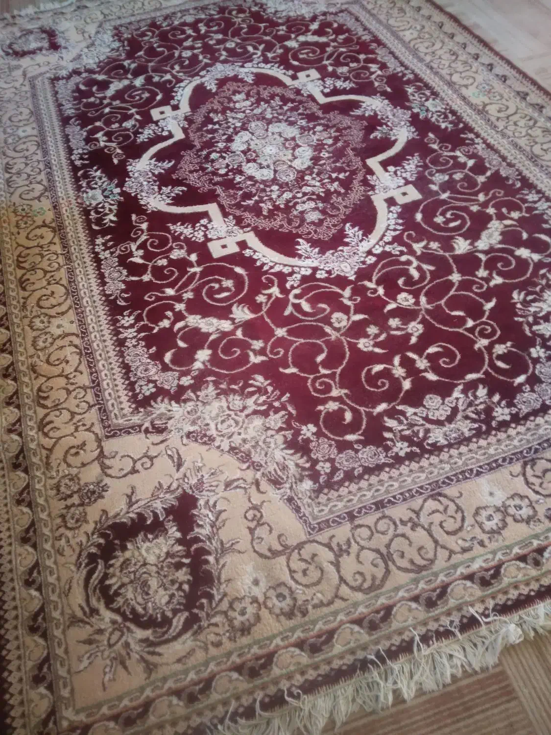 قالی 2/3|فرش|سرولایت, |دیوار