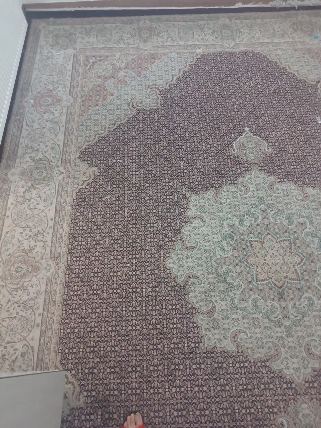 فرش 12متری|فرش|تهران, سلیمانی|دیوار